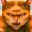 莫哈维之猫/Cat Named Mojave